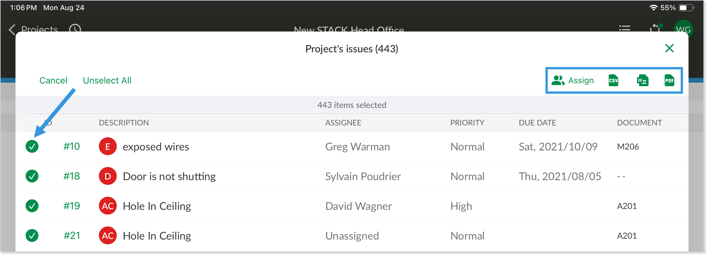IssuesSelect2.png